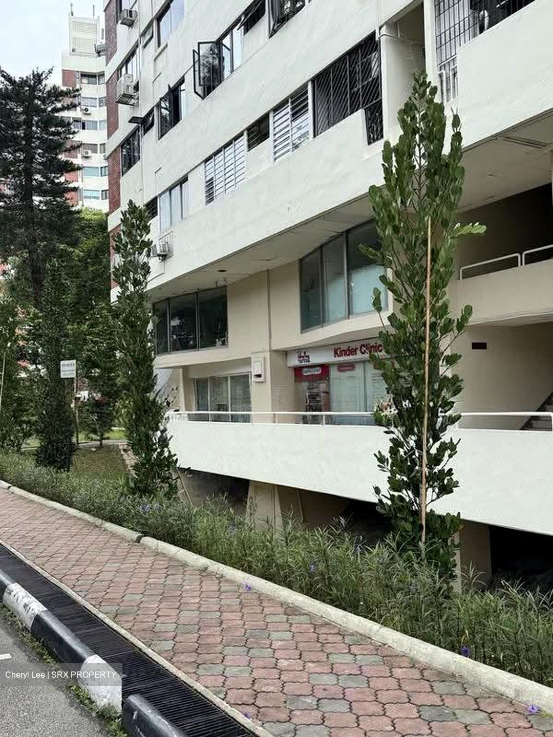 Pandan Valley (D21), Shop House #613728111